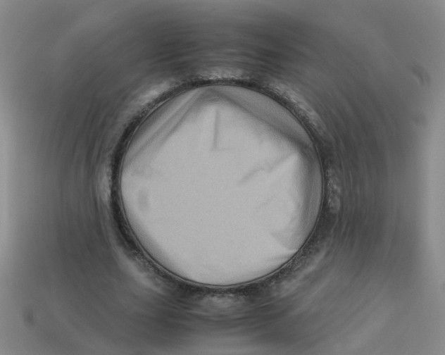X0000113330631200910131149