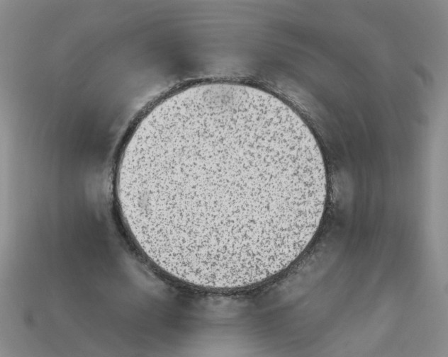 X0000113330632200910131149