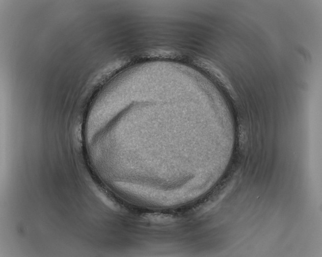 X0000113330633200910131149