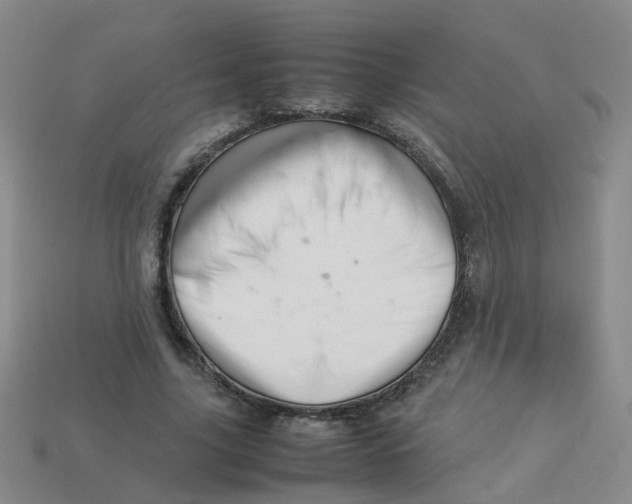 X0000113330635200910131149