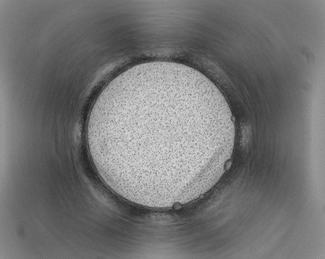 X0000113330636200910131149