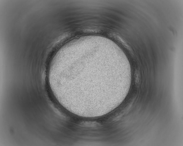 X0000113330637200910131149
