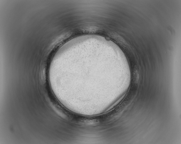 X0000113330638200910131149