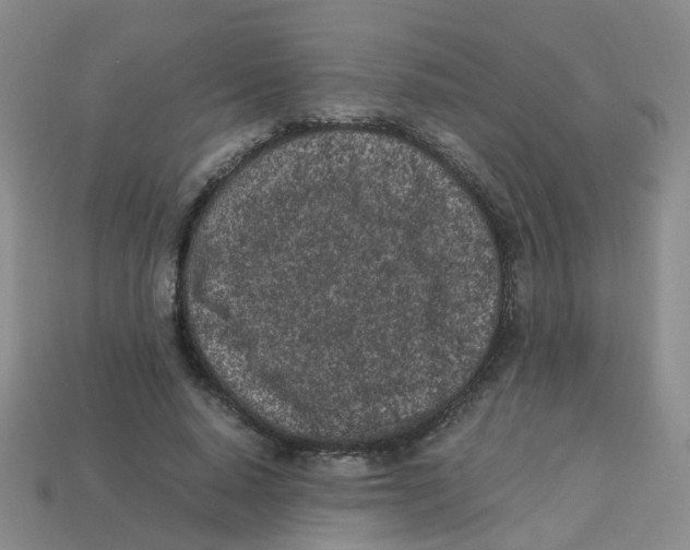 X0000113330640200910131149