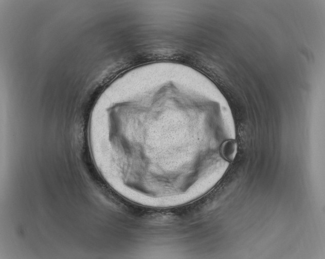 X0000113330642200910131149