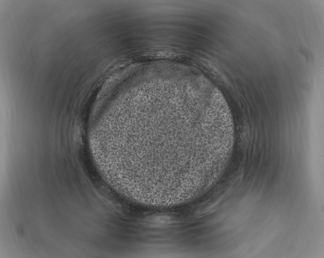 X0000113330643200910131149
