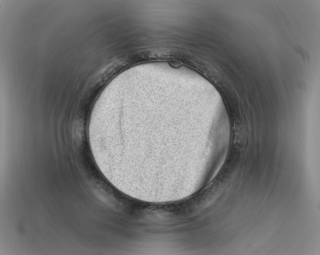 X0000113330648200910131149
