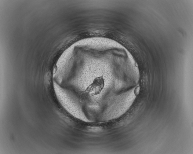 X0000113330649200910131149