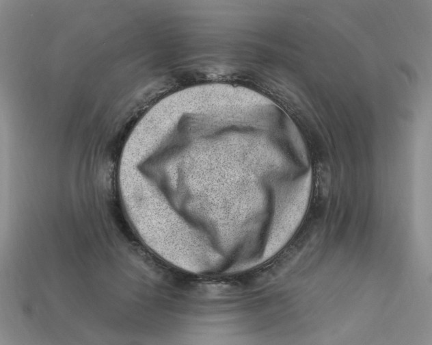 X0000113330650200910131149