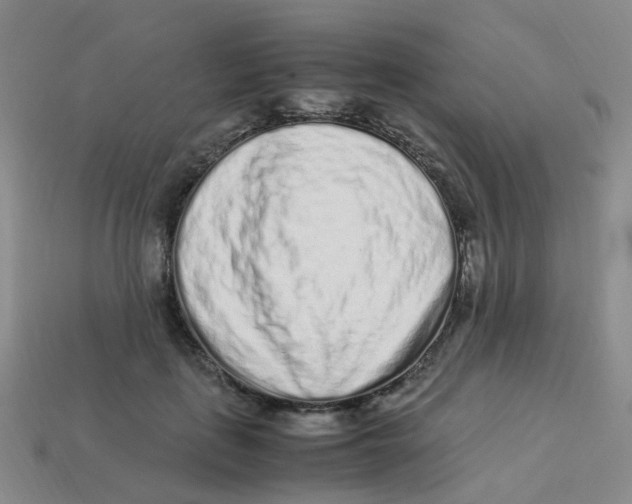 X0000113330651200910131149