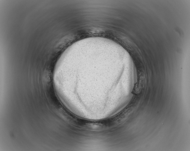 X0000113330654200910131150