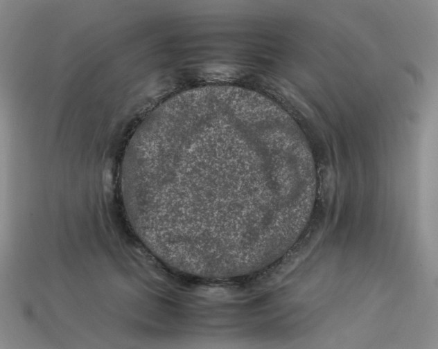 X0000113330655200910131150