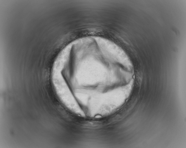X0000113330657200910131150