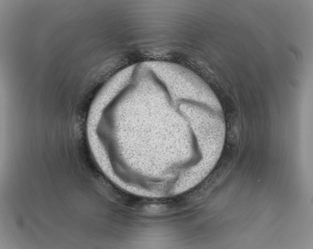 X0000113330658200910131150