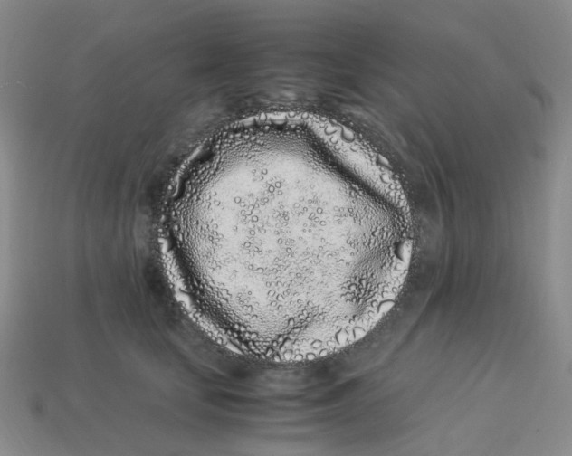 X0000113330659200910131150