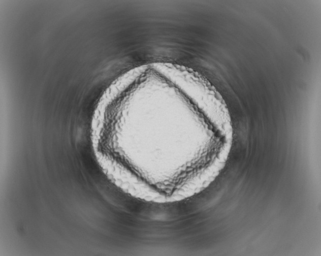 X0000113330663200910131150