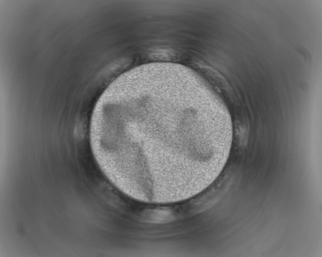X0000113330665200910131150