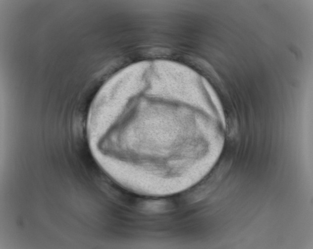 X0000113330669200910131150