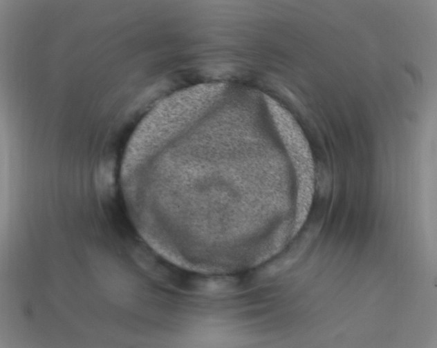 X0000113330670200910131150