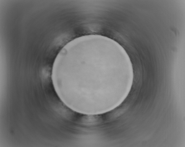 X0000113330672200910131150