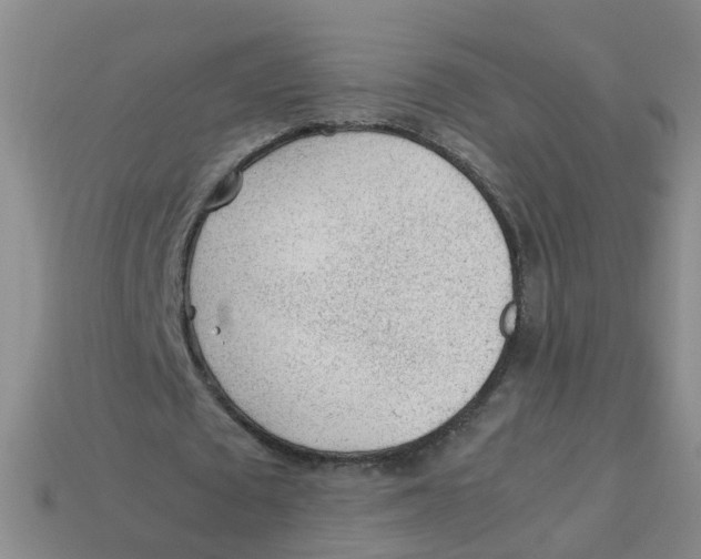 X0000113330673200910131149
