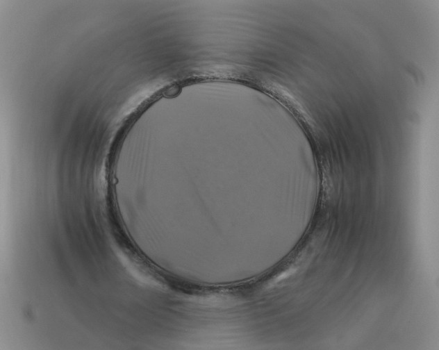 X0000113330674200910131149