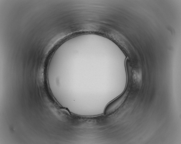 X0000113330676200910131149
