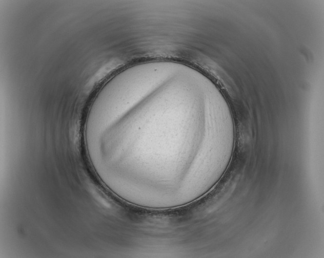 X0000113330677200910131149