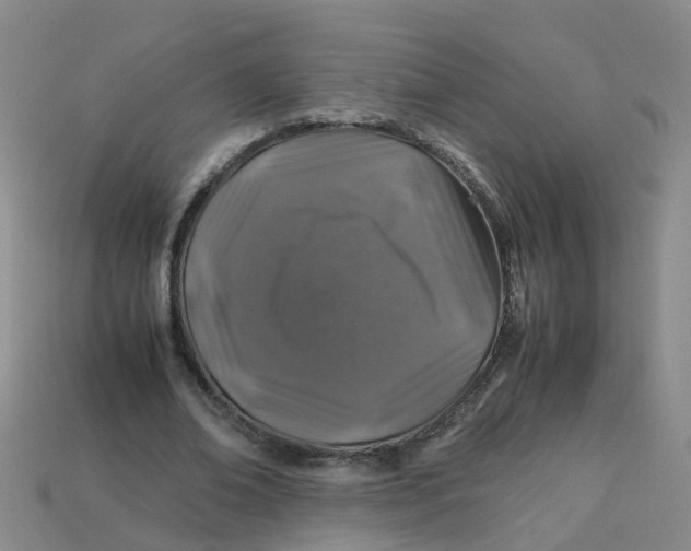 X0000113330678200910131149
