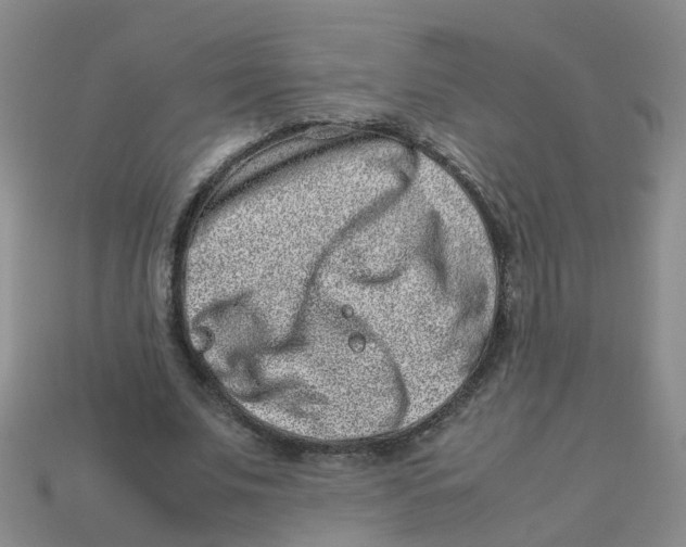 X0000113330679200910131149