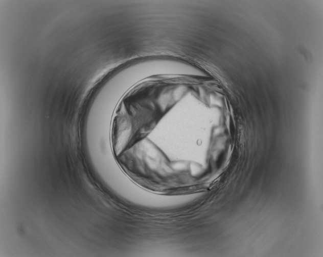 X0000113330680200910131149