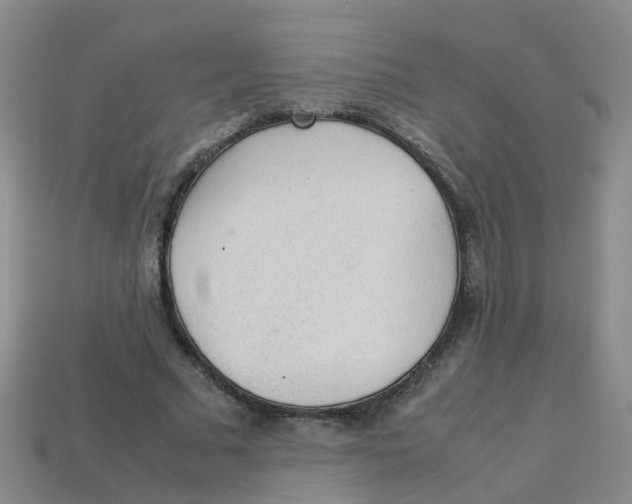 X0000113330681200910131149