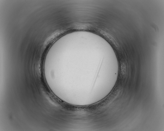 X0000113330682200910131149