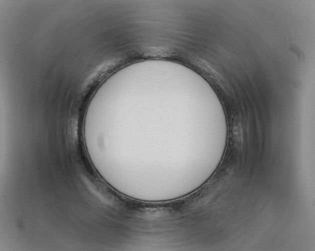X0000113330686200910131149
