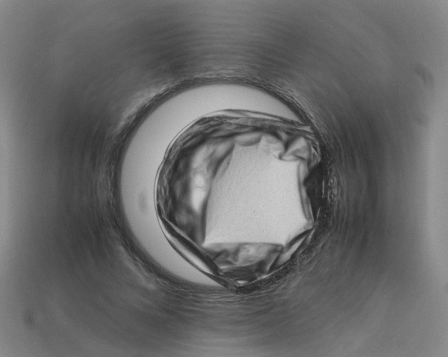 X0000113330688200910131149