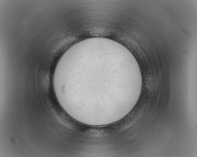 X0000113330690200910131149
