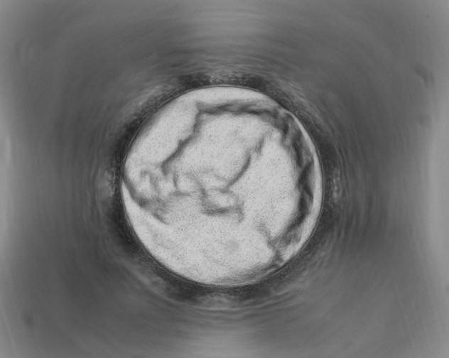 X0000113330691200910131149