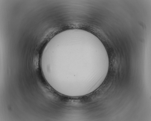X0000113330694200910131149