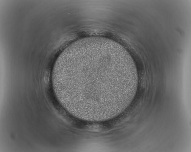 X0000113330695200910131149