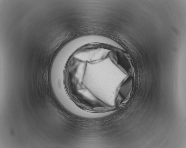 X0000113330696200910131149