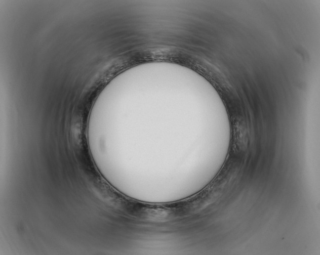 X0000113330698200910131149