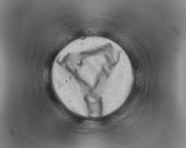 X0000113330699200910131149