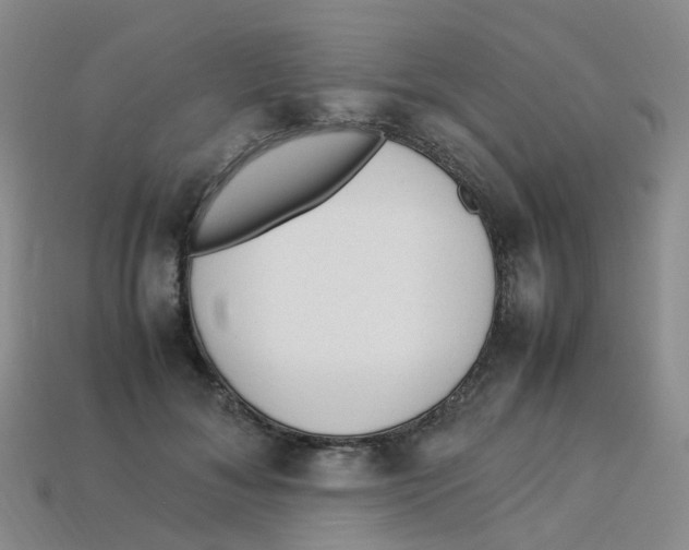 X0000113330700200910131149