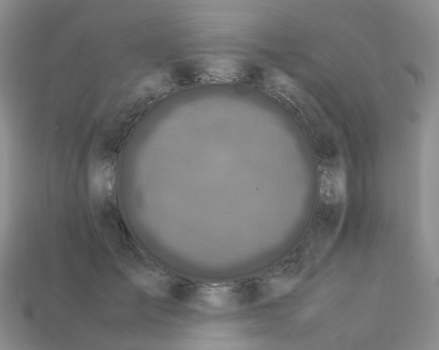 X0000113330701200910131149
