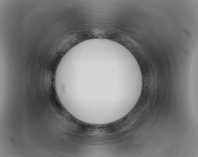 X0000113330702200910131149