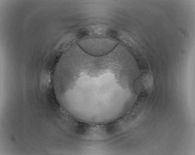 X0000113330709200910131149