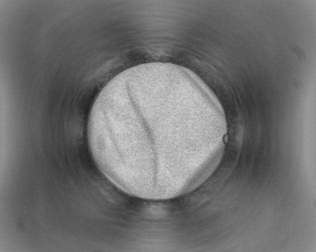 X0000113330710200910131149