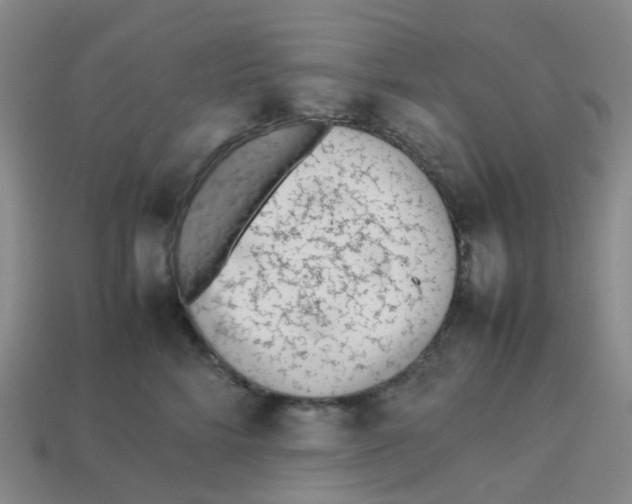 X0000113330712200910131149