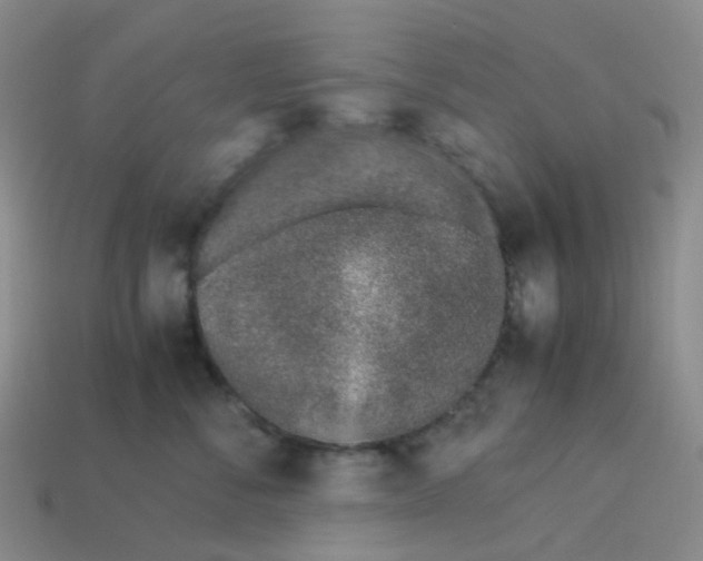 X0000113330716200910131149