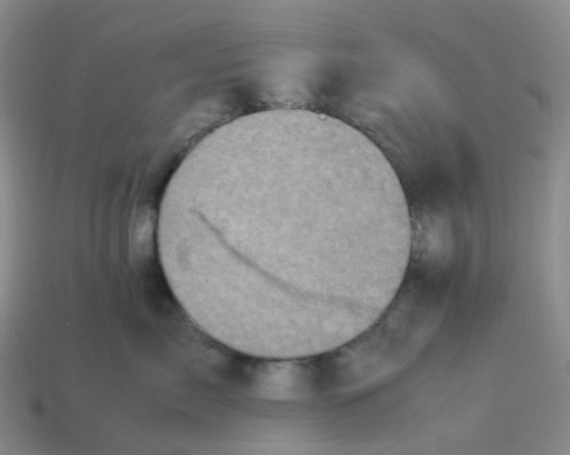 X0000113330717200910131149